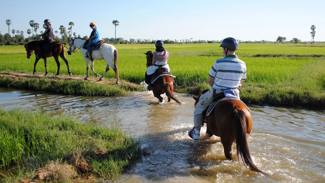 Ethical wildlife encounters on Cambodia Tours